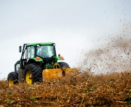 Serviços Florestais